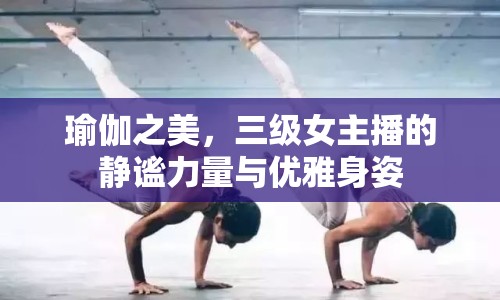 瑜伽之美，三級女主播的靜謐力量與優(yōu)雅身姿