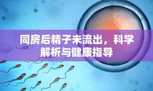 同房后精子未流出，科學(xué)解析與健康指導(dǎo)