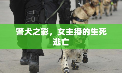 警犬之影，女主播的生死逃亡