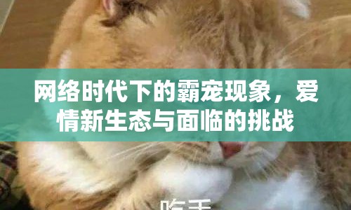 網(wǎng)絡(luò)時(shí)代下的霸寵現(xiàn)象，愛(ài)情新生態(tài)與面臨的挑戰(zhàn)