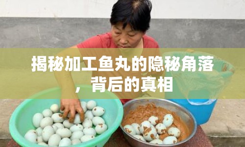 揭秘加工魚丸的隱秘角落，背后的真相