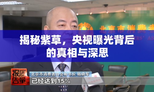 揭秘紫草，央視曝光背后的真相與深思