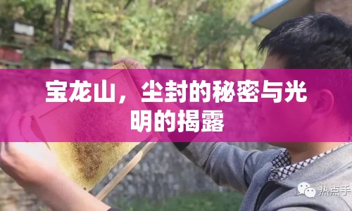 寶龍山，塵封的秘密與光明的揭露