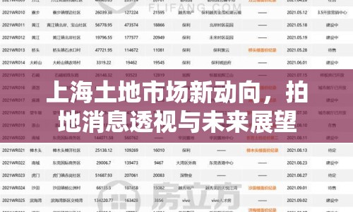 上海土地市場新動向，拍地消息透視與未來展望