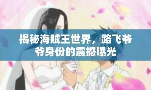 揭秘海賊王世界，路飛爺爺身份的震撼曝光