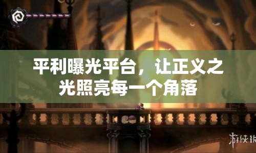 平利曝光平臺，讓正義之光照亮每一個角落