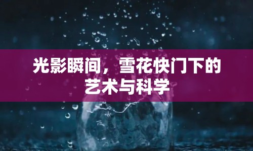 光影瞬間，雪花快門下的藝術(shù)與科學(xué)