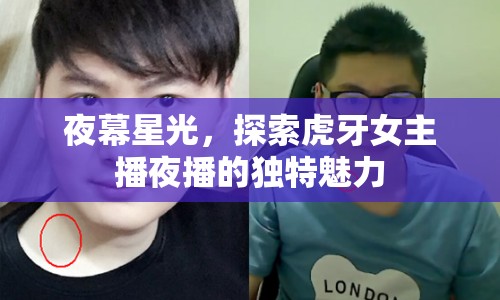 夜幕星光，探索虎牙女主播夜播的獨特魅力