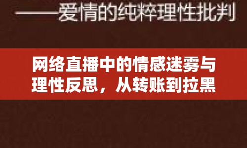 網(wǎng)絡(luò)直播中的情感迷霧與理性反思，從轉(zhuǎn)賬到拉黑的演變