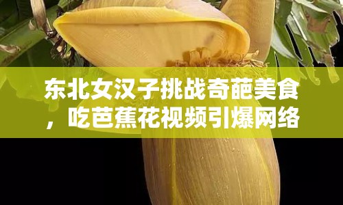 東北女漢子挑戰(zhàn)奇葩美食，吃芭蕉花視頻引爆網(wǎng)絡(luò)