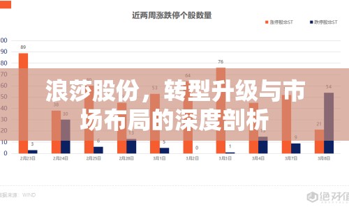 浪莎股份，轉(zhuǎn)型升級與市場布局的深度剖析
