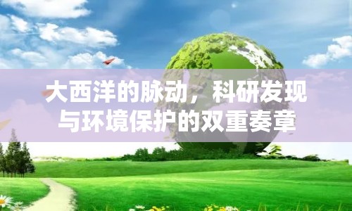 大西洋的脈動，科研發(fā)現(xiàn)與環(huán)境保護的雙重奏章