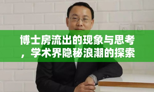 博士房流出的現(xiàn)象與思考，學(xué)術(shù)界隱秘浪潮的探索