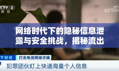網(wǎng)絡(luò)時(shí)代下的隱秘信息泄露與安全挑戰(zhàn)，揭秘流出扣挖現(xiàn)象