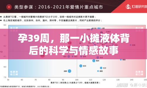 孕39周，那一小攤液體背后的科學與情感故事