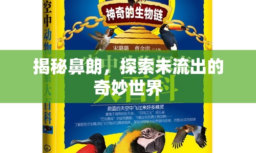 揭秘鼻朗，探索未流出的奇妙世界