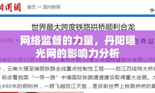網(wǎng)絡(luò)監(jiān)督的力量，丹陽曝光網(wǎng)的影響力分析