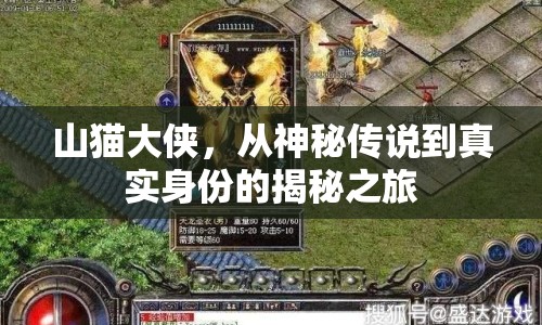 山貓大俠，從神秘傳說到真實身份的揭秘之旅