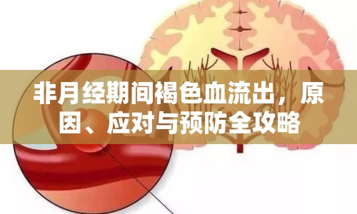 非月經(jīng)期間褐色血流出，原因、應對與預防全攻略