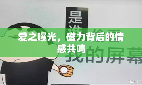 愛之曝光，磁力背后的情感共鳴