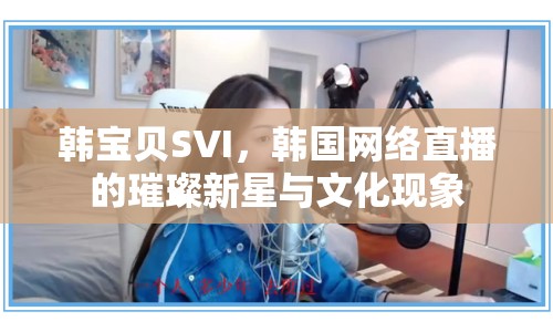 韓寶貝SVI，韓國(guó)網(wǎng)絡(luò)直播的璀璨新星與文化現(xiàn)象
