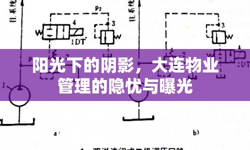 陽(yáng)光下的陰影，大連物業(yè)管理的隱憂與曝光