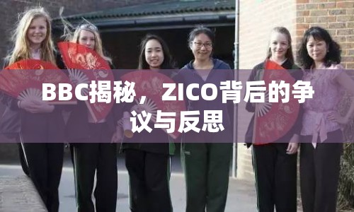 BBC揭秘，ZICO背后的爭議與反思
