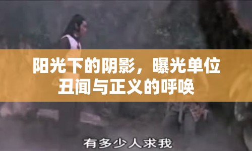 陽(yáng)光下的陰影，曝光單位丑聞與正義的呼喚