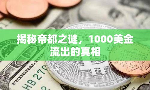 揭秘帝都之謎，1000美金流出的真相