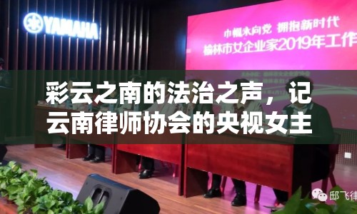 彩云之南的法治之聲，記云南律師協(xié)會的央視女主播溫暖傳遞法治力量