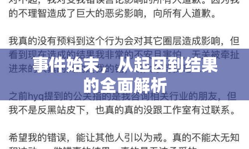 事件始末，從起因到結(jié)果的全面解析