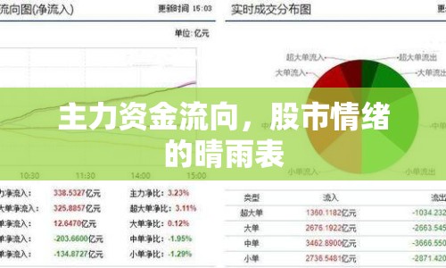 主力資金流向，股市情緒的晴雨表
