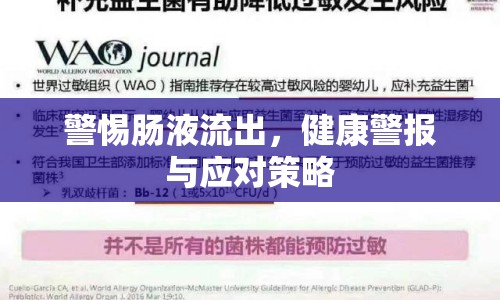 警惕腸液流出，健康警報(bào)與應(yīng)對(duì)策略