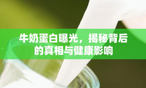 牛奶蛋白曝光，揭秘背后的真相與健康影響