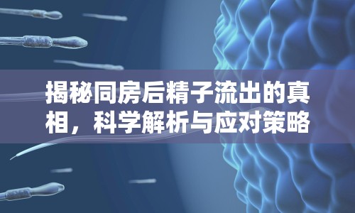 揭秘同房后精子流出的真相，科學(xué)解析與應(yīng)對(duì)策略