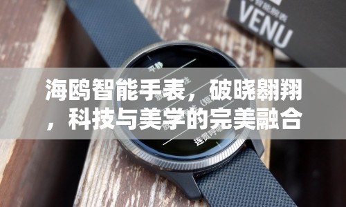 海鷗智能手表，破曉翱翔，科技與美學(xué)的完美融合