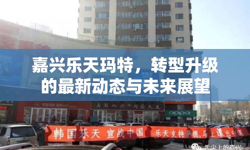 嘉興樂(lè)天瑪特，轉(zhuǎn)型升級(jí)的最新動(dòng)態(tài)與未來(lái)展望