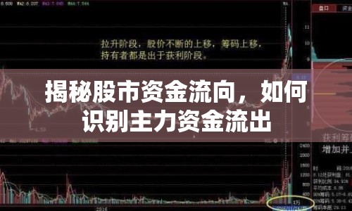揭秘股市資金流向，如何識別主力資金流出