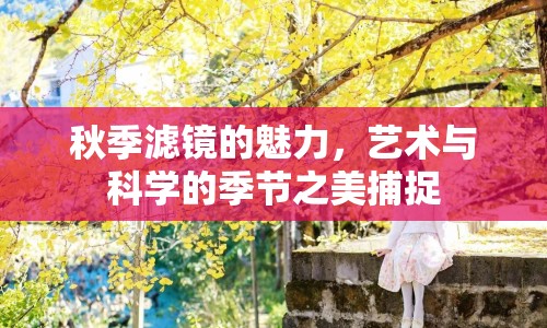 秋季濾鏡的魅力，藝術與科學的季節(jié)之美捕捉