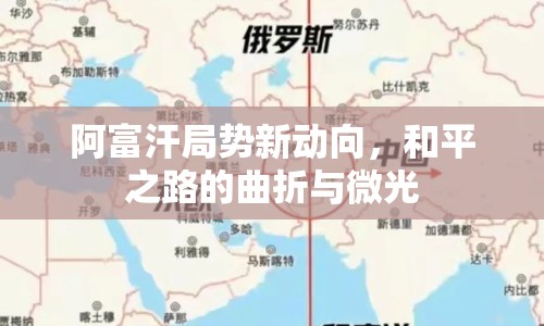 阿富汗局勢新動向，和平之路的曲折與微光