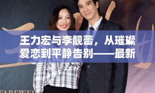王力宏與李靚蕾，從璀璨愛(ài)戀到平靜告別——最新動(dòng)態(tài)深度解讀