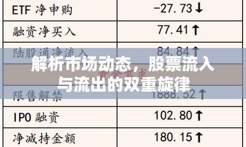 解析市場動態(tài)，股票流入與流出的雙重旋律