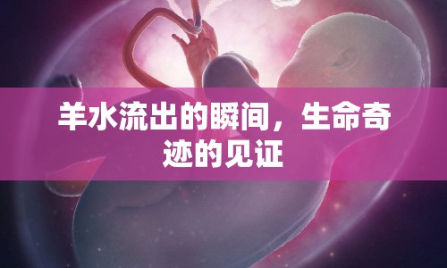 羊水流出的瞬間，生命奇跡的見(jiàn)證