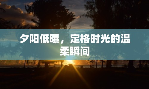 夕陽低曝，定格時(shí)光的溫柔瞬間