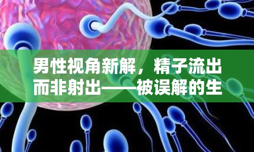 男性視角新解，精子流出而非射出——被誤解的生理現(xiàn)象