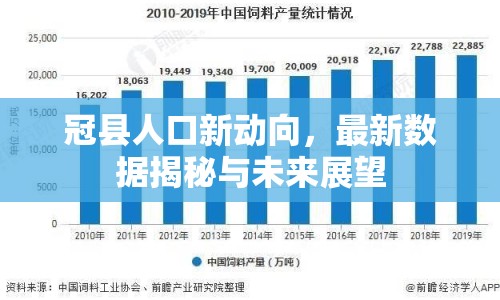 冠縣人口新動向，最新數(shù)據(jù)揭秘與未來展望