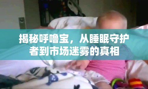 揭秘呼嚕寶，從睡眠守護(hù)者到市場(chǎng)迷霧的真相