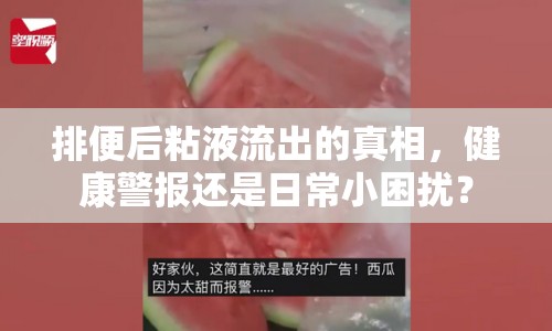 排便后粘液流出的真相，健康警報(bào)還是日常小困擾？