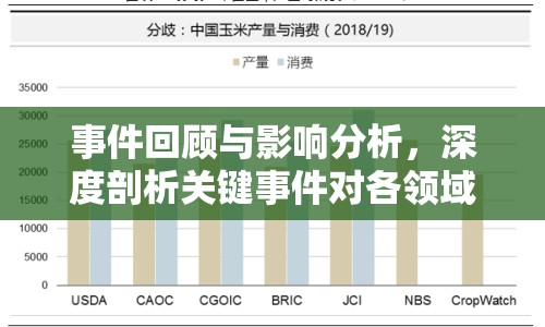 事件回顧與影響分析，深度剖析關(guān)鍵事件對(duì)各領(lǐng)域的影響