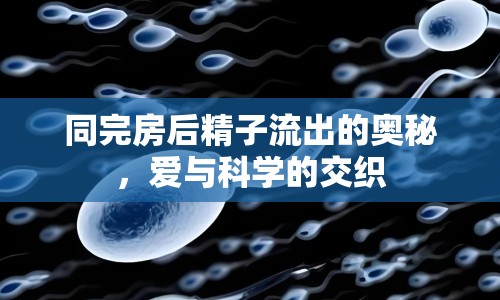 同完房后精子流出的奧秘，愛與科學(xué)的交織